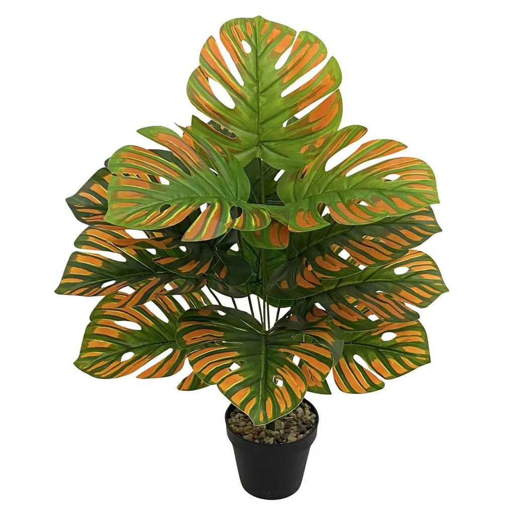 Nordic Style Variegated Monstera: Potted Plant for Home & Garden Decor