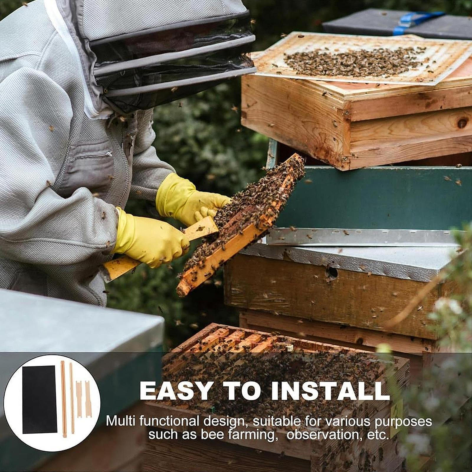 

Рамка для улья и восковая основа,Дерево,для кормления и наблюдения,Части улья,Коробка для гнездования пчел,Пчела