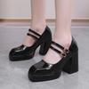 40-47 Foreign Trade Large Size Spring Waterproof Platform Thick High Heel Shallow Mouth Square Head Mary Jane Women's Single Shoes Skinny