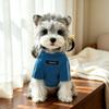 Varm vinter basislag til kæledyr To-benet design Kæledyrs sweatshirt Simpel hundepullover Til Teddyhunde