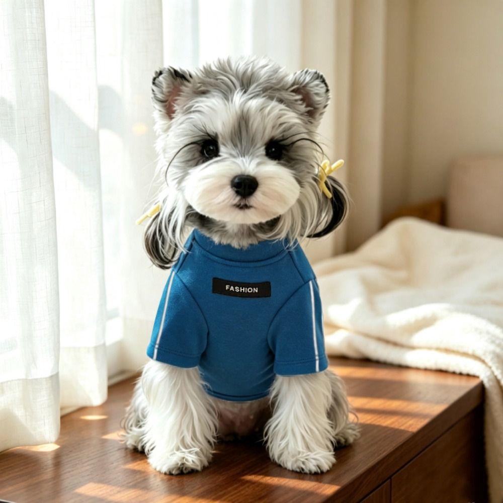Varm vinter basislag til kæledyr To-benet design Kæledyrs sweatshirt Simpel hundepullover Til Teddyhunde