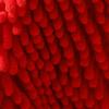 Chenilles Banana/Strawberry Towel for Kitchen and Bath Quick Drying Washcloth Soft Absorbent Towel Bathroom Accessories