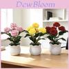 Miniature Chenille Chrysanthemum Home Decor With Plastic And Silk Material For Office And Gift Displays
