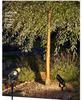 Waterproof LED Landscape Spotlights for Outdoor Trees and Garden Decoration with Ground Spike