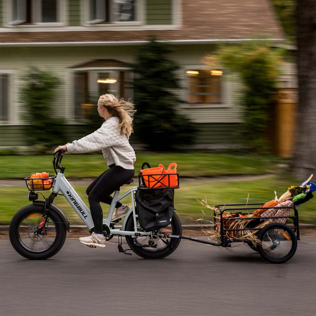 KINGBULL Voyager 2.0 20*4.0" städtisches Lasten-Elektrofahrrad, 48V 750W Motor, maximale Reichweite von bis zu 90 Kilometern, maximale Tragfähigkeit von 180 kg.