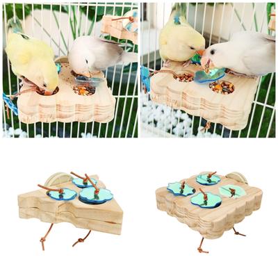 Bird Cage Water Bowl Colorful Parrots Toy Interactively Bird Feeders Hanging for Parrots Feeding