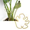 New Plant Stem Support Iron Monstera Plant Support Plant Stem Holder Support Bamboo Clamp For Plants Stabilization