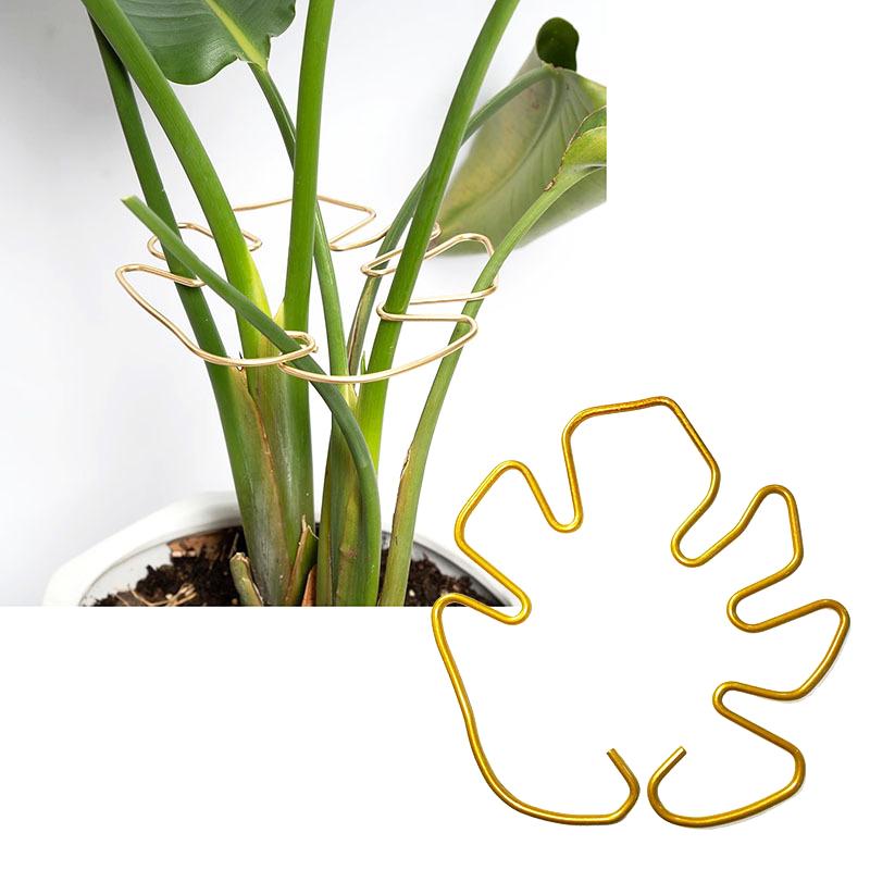 New Plant Stem Support Iron Monstera Plant Support Plant Stem Holder Support Bamboo Clamp For Plants Stabilization