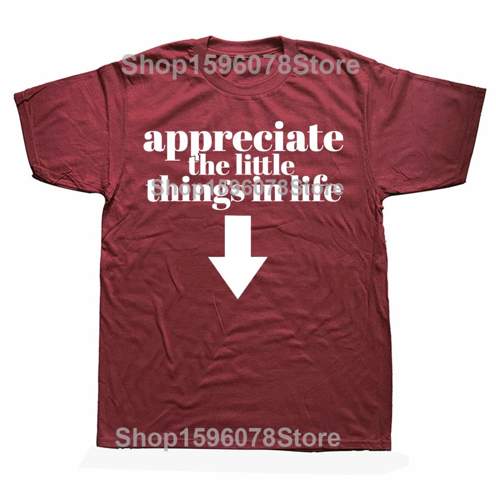 Appreciate The Little Things In Life Arrow Funny Adult Joke Graphic T-shirts Men Tshirt 100% Cotton Loose Oversized T Shirt