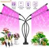 1Pc Full Spectrum LED Phytolamp with USB Timer Table Lamp for Growing Plants Vegetables Flowers Seedlings