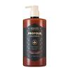 Propolis Damage Repair Treatment 1L