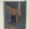 Innolux 10.1" 1280x800 HD IPS Industrial-Grade LVDS40pin LCD Display