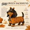 Unique Holiday Party Favors Fall Harvest Dachshund Figurine, Halloween Statue with Pumpkin Headband Polka Collectible Dog Lover Gifts Dot Outfit,