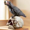 Halloween Skull/ Crow Home Desktop Horror Decoration Statue Ornaments Festive Atmosphere Crafts