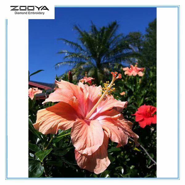 

ZOOYA DIY 5D Полный дрель Алмазная картина Цветочная вышивка Крестом Мозаика Домашний декор Подарок