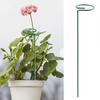 12 Pcs Tomato Twist Stakes Spiral Plant Support Stakes Climbing Plant Stakes for Tomato Butterfly Orchid Flowers Home Gardening