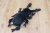 Takeoff Plush Toy Cotton Cloudy S Giraffe Stag Beetle