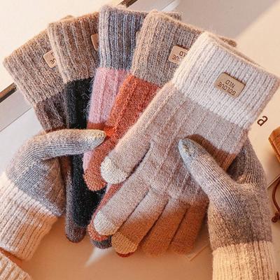 Korean Version Touch Screen Gloves, Women Winter Plush Thick Warm Windproof Gloves For Cycling For Men & Women