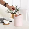 Small Desktop Waste Bin with Lid To Send Trash Bag Student Dormitory Bedroom Ins Wind Cute Pen Holder Office Household Plastic Trash Can