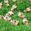 20 Pcs Dragon Skull Miniatures Mini Resin Dragon Skull Heads Decorative Dragon Skull Vase Fillers for Potted Plants Aquarium Garden Landscaping