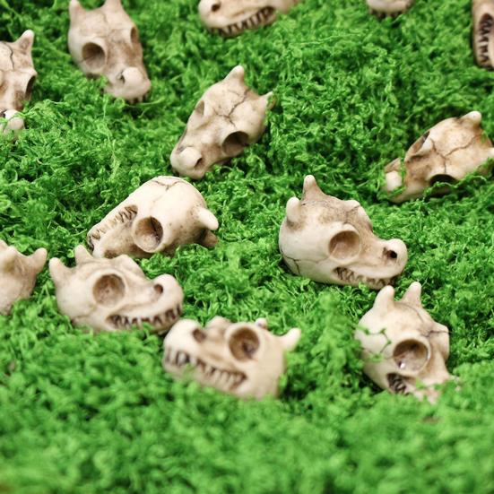 20 Pcs Dragon Skull Miniatures Mini Resin Dragon Skull Heads Decorative Dragon Skull Vase Fillers for Potted Plants Aquarium Garden Landscaping