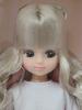 Castle 2022 Kobe Sannomiya Original Model 11 Authentic Product Licca-chan Licca-chan - Unopened,