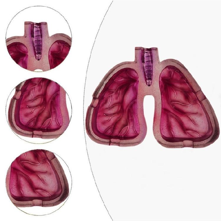 Decorative Ashtray with Distinctive Human Lungs Shape Enhances Your Environment