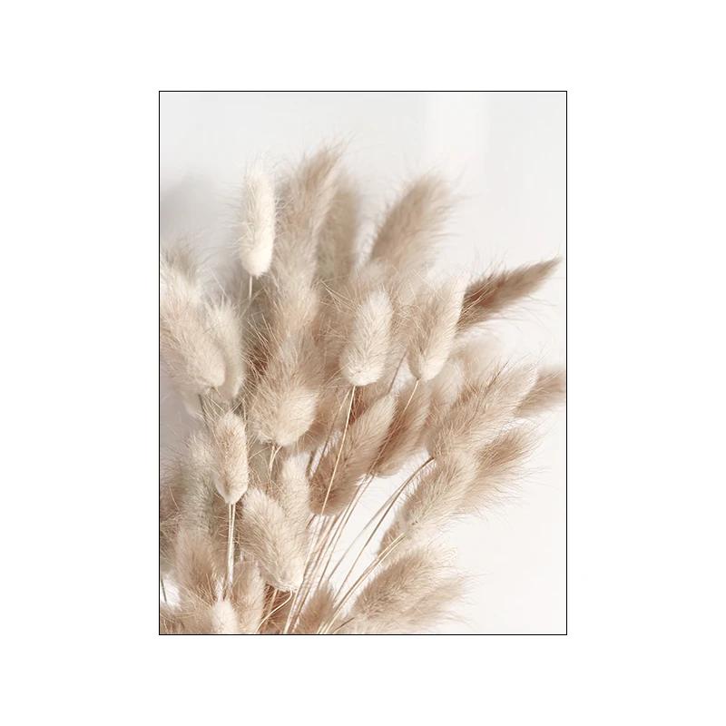 Nowoczesny Nordycki Obraz Płócienny z Kwiatami Trawy, Boho Nadmorski Krajobraz, Plakat i Druk na Ścianę do Dekoracji Domu, Salonu