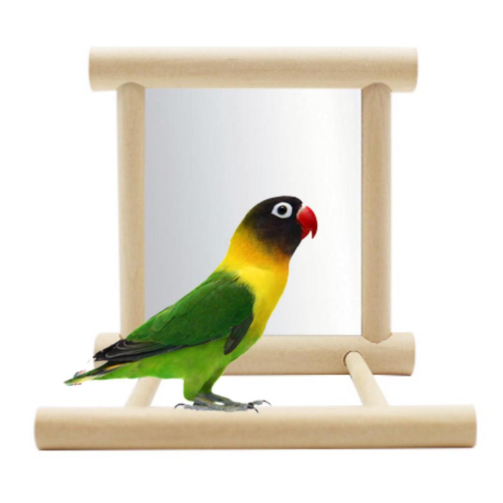 Parrot Toys Bird Toys Mirror: Round Bird Mirror