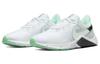 Nike Legend Essential 2 'White Mint Foam' Women's CQ9545-102