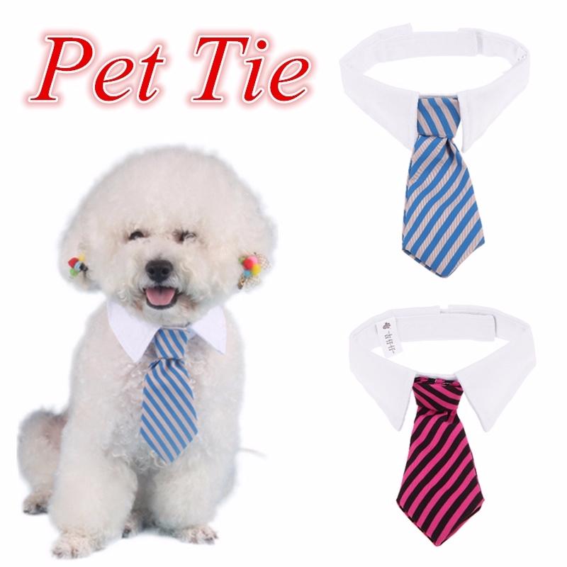 dog tie collar