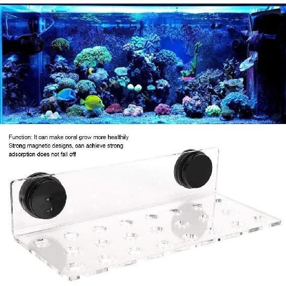 FILFEEL Acrylic Coral Frag Rack Bracket and Wonderful Accessory for Coral Growth Usage for Aquarium Fish 4 Hole Size (Acrylic 2)