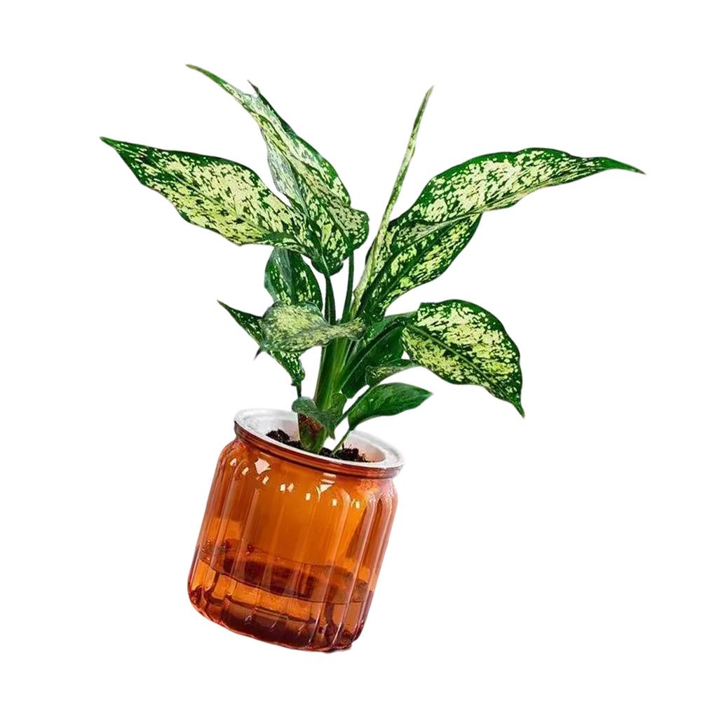 Indoor Self Watering Miniature Flowerpots Succulents Planter for Home Office Use with Efficient Water Absorption Designs