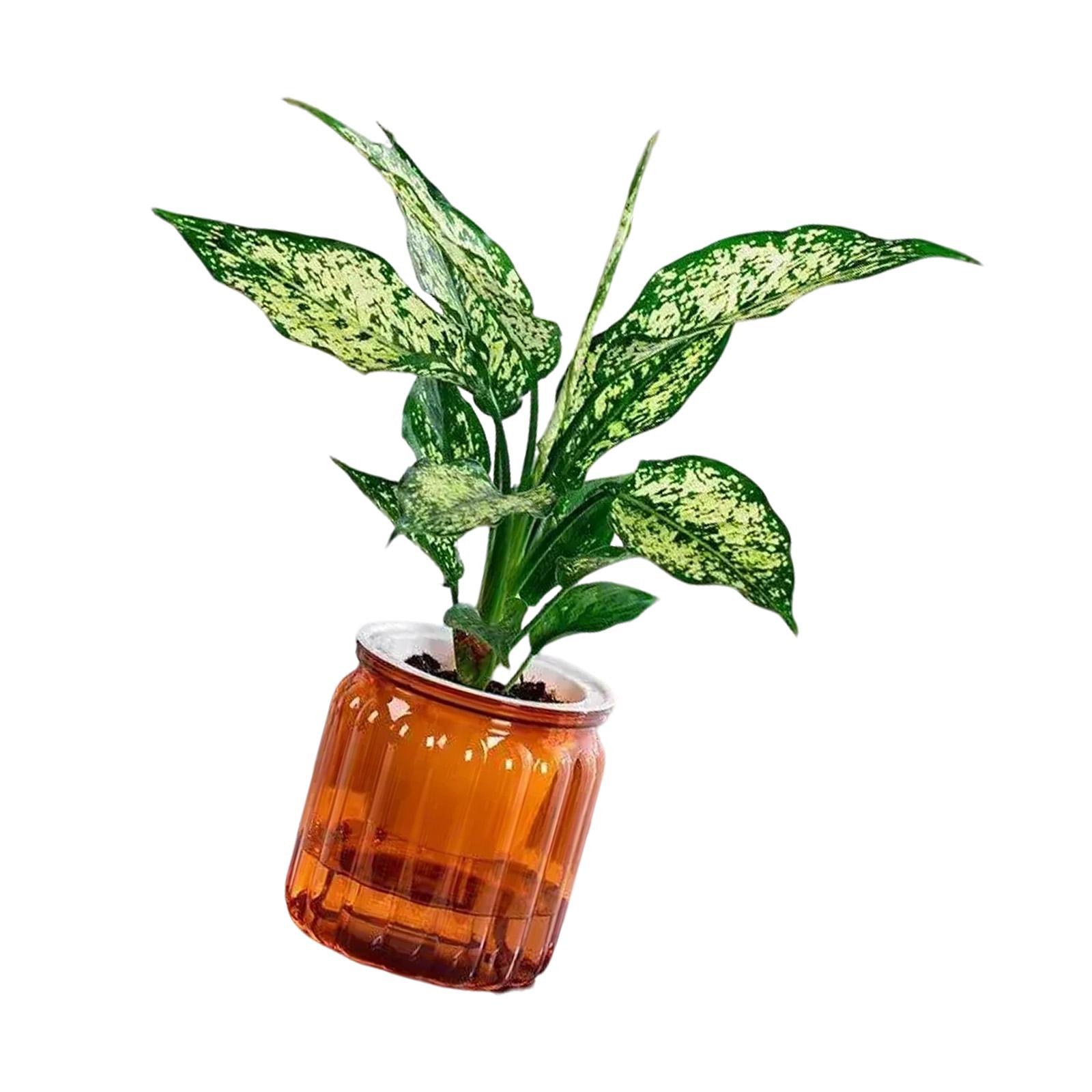 

Внутренние самополивающиеся миниатюрные цветочные горшки для суккулентов для домашнего офиса с эффективным водопоглощающим дизайном 5