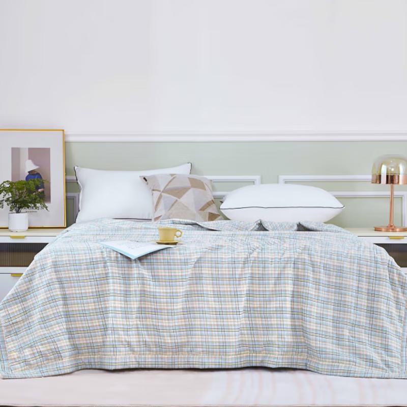 

Pielte Paul Lightweight All-Season Comforter