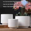 Elegant White Ceramic Flower Pot with Tray - Ideal for Ivy, Spider Plants, and Succulents