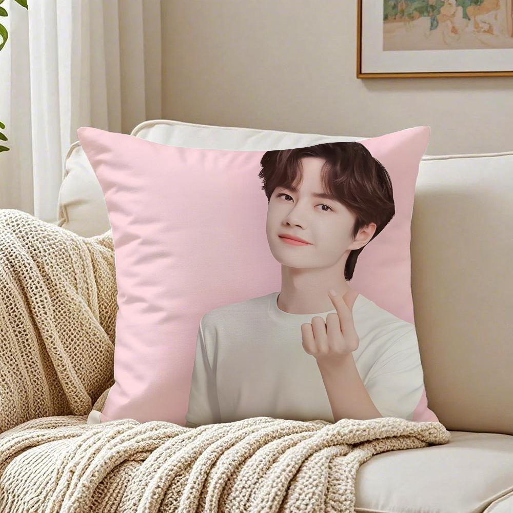 

actor cool Wang Yibo Cushion Cover Pillowcase Antidustmite living Room Sofa Decor Cushion Room 30X30cm