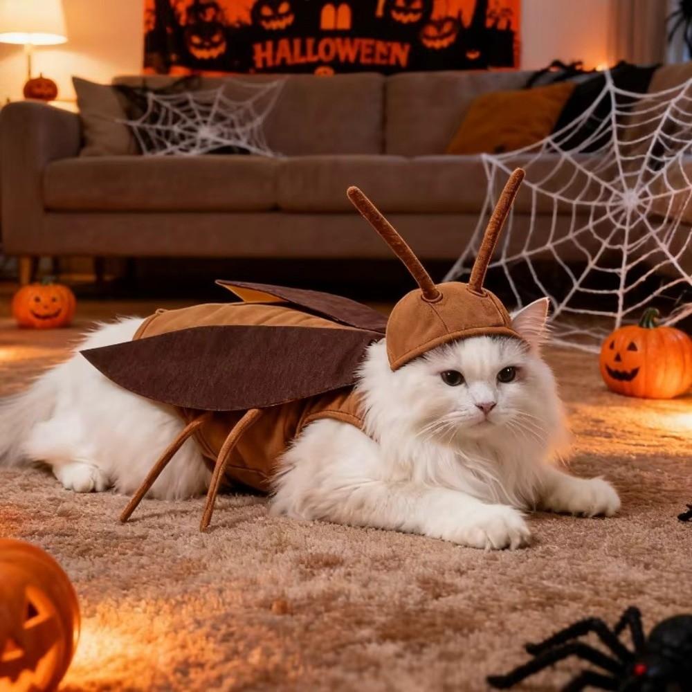 Realistic Pet Cockroach Cosplay Costume with Wing Costume Pranks Outfit  Halloween