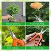 Curved Garden Scissors Harvesting Scissors Rose Scissors Small Flower Scissors for Tree Branches Flowers Fruits