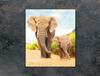 GLASS CUTTING BOARD 45x52 Elephant