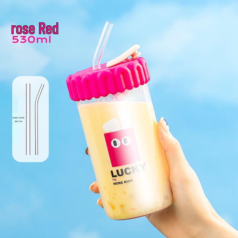 Dilerbell Heat-Resistant Glass Straw Cup with Handle