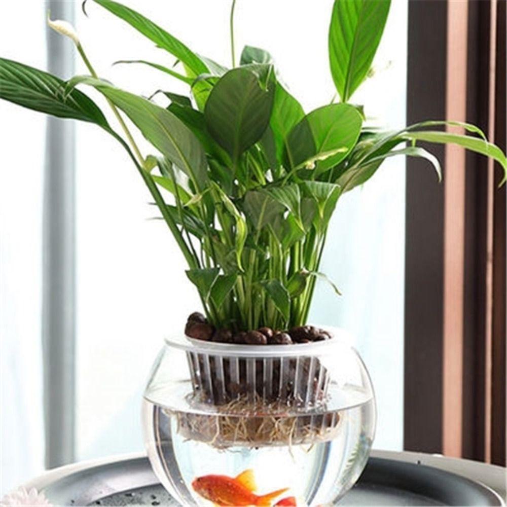 Glass Water-absorbing Flower Pot Visible Water Level Self Watering Hydroponic Planter Garden Supplies Water Planting Pots