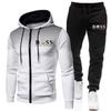 Herren Einfarbige Fleece Kapuzen Trainingsanzug Set Langarm Reißverschluss Oberteil Hose Sport Freizeit Outfit