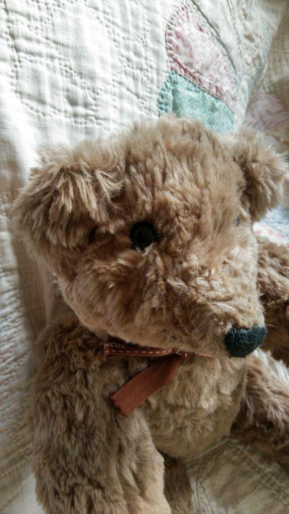 [USED] Teddy Bear with Moving Limbs