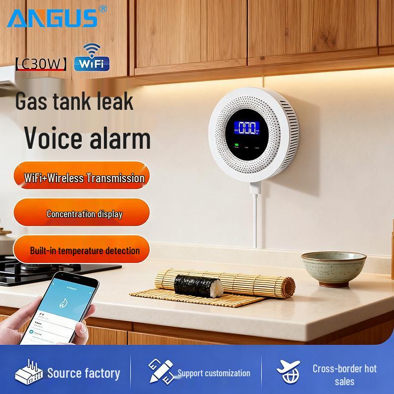 Graffiti WiFi Carbon Monoxide & Combustible Gas Leak Detector