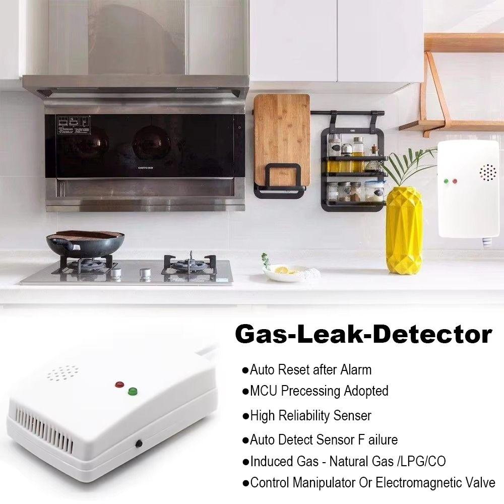 Wall Mounted Combustible Gas Leak Alarm Compact Natural Gas Alarm Sensor Home Security
