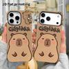 Phone Case: 2D Flat Design Suitable for iPhone 18, 17, 16, 15, 14, 13 Pro Film Protective Case, Couple Style, Multi-character Capybara, Christmas and 