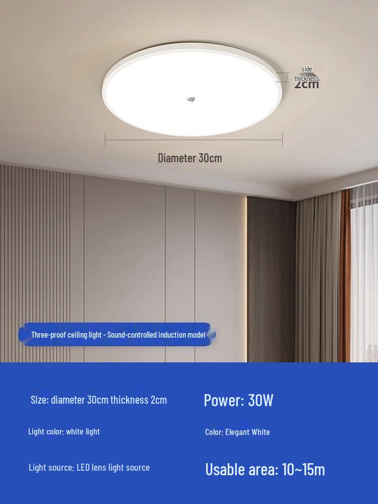 Smart Radar Sensor Ceiling Light with Voice Control for Balcony, Corridor, Stairwell, Hallway