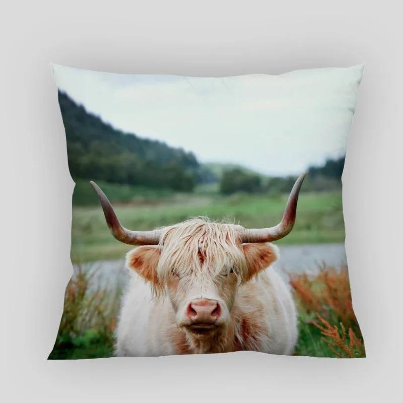 Highland Cow Pillow Cover Customize Pillowcase Modern Home Decorative Pillow Case For Living Room 45X45cm,40X40cm