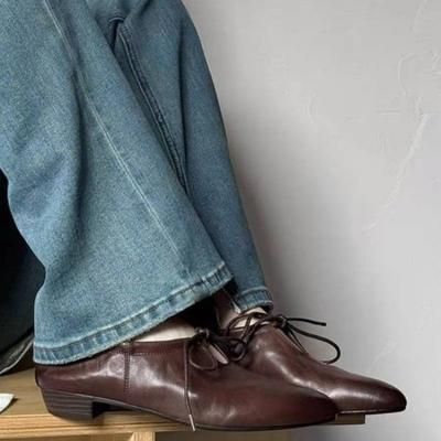Women's Loafers Autumn Retro Pointed Toe Lace-Up Front Soft Sole Comfortable Block Heel Low Heel Small Leather Shoes
